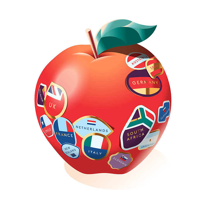 which apple